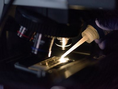 microscope and a light illuminating the slide