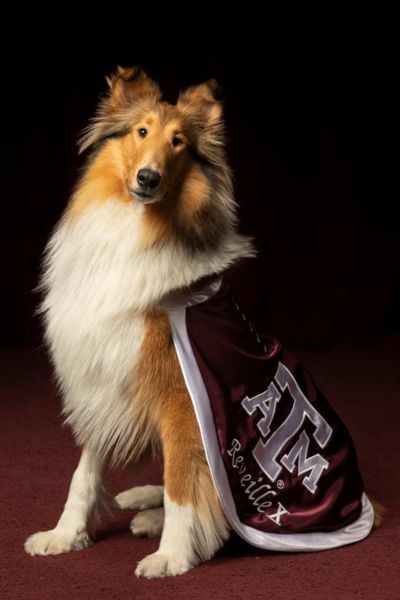 400x600 No Image Filler