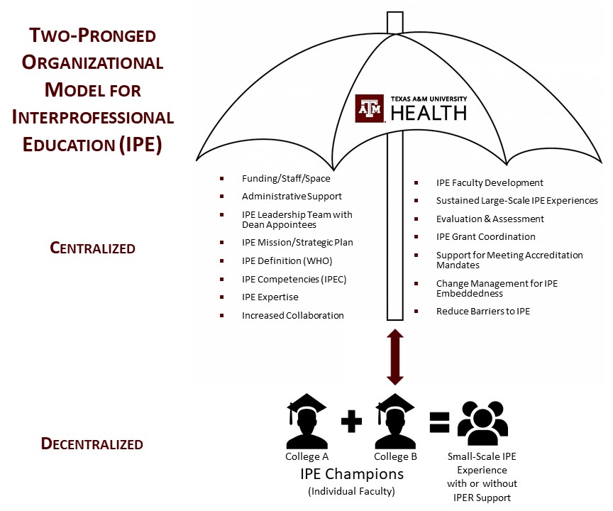 Organizational Model for IPE